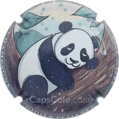 Capsule Polychrome