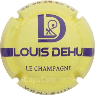 Capsule Jaune et bleu foncé