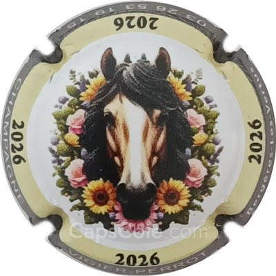 Capsule 2026, Contour gris