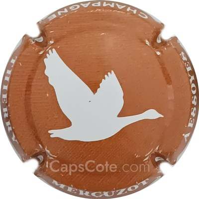 Capsule Marron et blanc