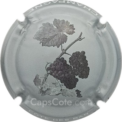 Capsule Fond gris