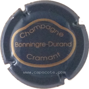 Capsule Bleu foncé et or