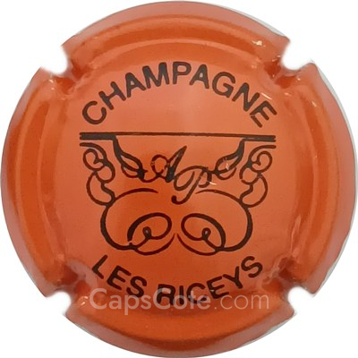 Capsule Orange et noir