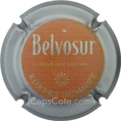 Capsule Orange pâle, contour gris, mat