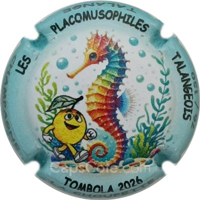 Capsule Tombola 2026, Contour bleu