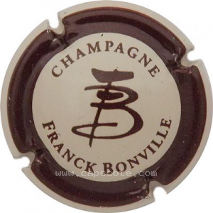 Capsule Gris-crème, contour marron