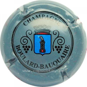 Capsule Gris