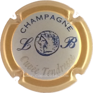 Capsule Inscription bleu foncé