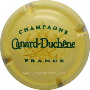 Capsule Jaune crème