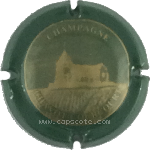 Capsule Contour vert