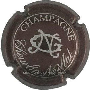 Capsule Marron et argent