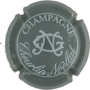 Capsule Gris