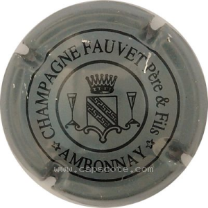 Capsule Gris et noir