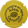 Capsule Adam Garnotel Jaune