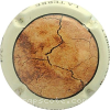 Capsule Despret Jean La terre 2/4
