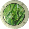 Capsule Despret Jean L'eau 4/4