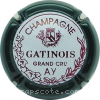 Capsule Gatinois  Contour vert foncé, Fond gris pâle, bordeaux