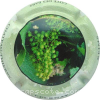Capsule CO. GE. VI. Contour vert pâle