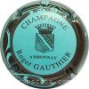 Capsule Gauthier Roger  Bleu pâle contour marron