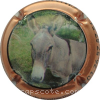Capsule Comte de Monperthuis Gris, contour cuivre