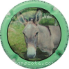 Capsule Comte de Monperthuis Gris, contour vert