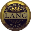 Capsule Lang-Biemont  Contour or