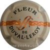 Capsule Duval-Leroy Barre orangée