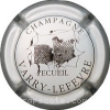 Capsule Varry-Lefevre Argent et noir