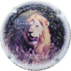 Capsule Pessenet Didier Lion