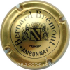Capsule Bremont Bernard Or mat et noir