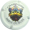 Capsule Dubois Hervé Polychrome foncé