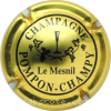 Capsule Pompon-Champy Or et noir