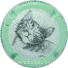 Capsule Vadin-Plateau Contour vert pâle