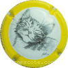 Capsule Vadin-Plateau Contour jaune