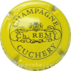 Capsule Remy Ch. Jaune et noir