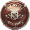 Capsule Remi Guy Marron et argent