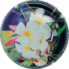 Capsule Pillot Christian Jasmin