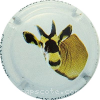 Capsule Fay Michel 5/9 Oryx