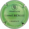 Capsule Benoit Lionel Vert pâle métallisé et noir