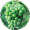 Capsule Pasquet 1