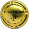 Capsule Paillard P. Or-jaune et noir