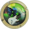 Capsule Herbert Didier Guitare