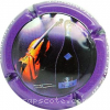 Capsule Herbert Didier Violon