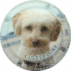Capsule Herbert Stephane Cuvée Flore, chienne