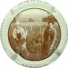 Capsule Moutaux Taillage