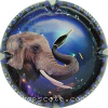 Capsule Herbert Didier Eléphant