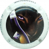 Capsule Herbert Didier  1- Puma