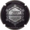 Capsule Gaudriller Serge  Noir et argent