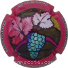 Capsule Strauss-Georgeton Contour rose