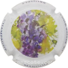 Capsule Mandois Polychrome 2
